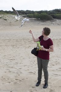 Anne füttert am Strand von Cape Fidal die Möwen