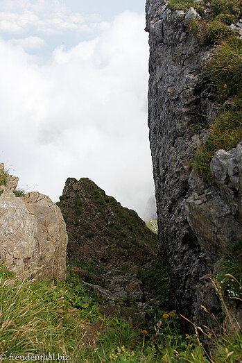 Blick vom Gemsmättli hinunter auf den Tomliweg