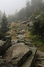 Auf dem Rückweg - Burkhardklamm