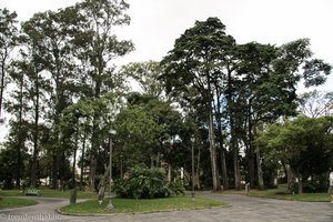 Rundgang durch den Morazanpark in San José