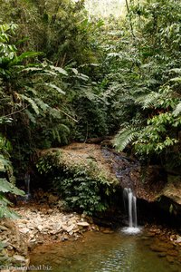 kleiner Wasserfall im Naturschutzpark