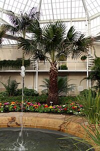 Palmenhaus beim Schloss Pillnitz