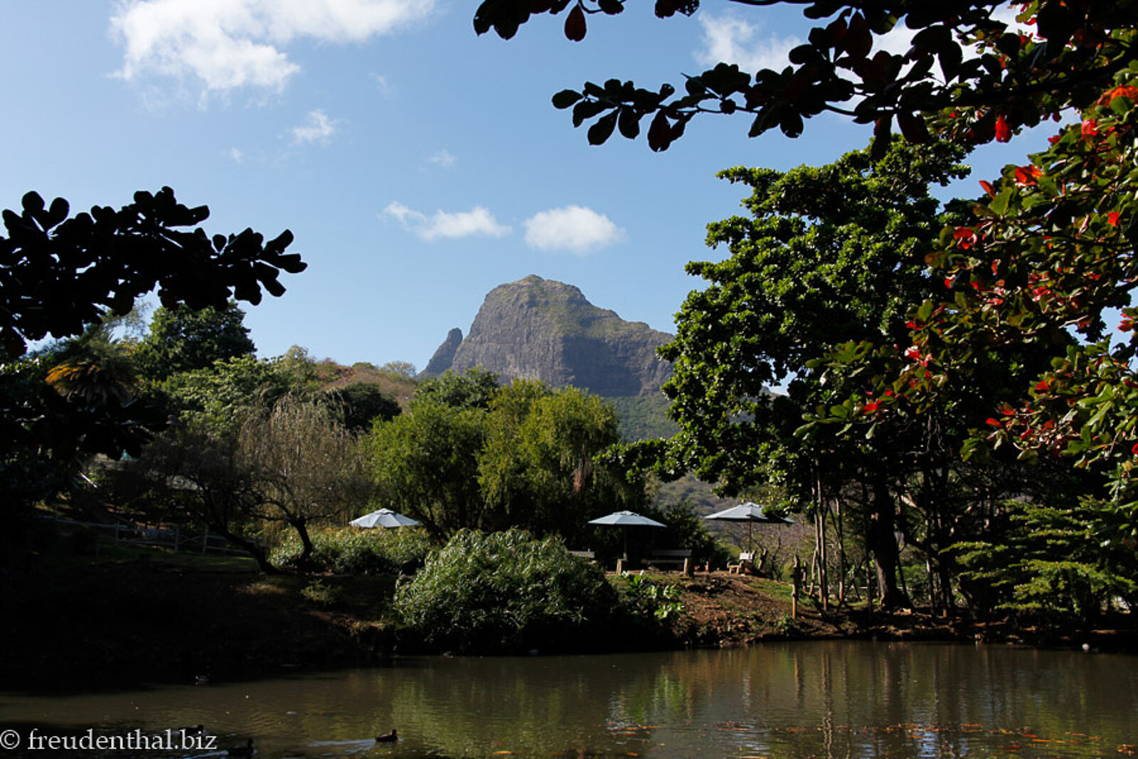 Von hohen Bäumen umrahmter Teich im Casela Nature Park vor der Bergkulisse auf der Insel Mauritius