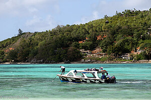 Glasbodenboot von Creole Travel