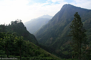 Ella Gap bei der Rundreise durch Sri Lanka