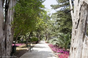 Zwischen den Bäumen im San Anton Garden auf Malta