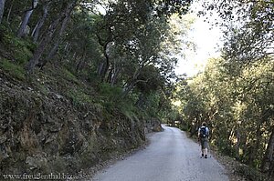 auf der Serpentinen-Straße nach Port des Canonge