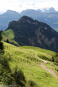 Rigi-Scheidegg