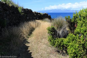 Wanderweg entlang der Ponta da Ilha