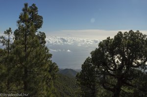 Ein Blick bis hin zum Teide auf Teneriffa