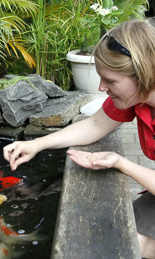 Aquarium Pointe aux Piments auf Mauritius