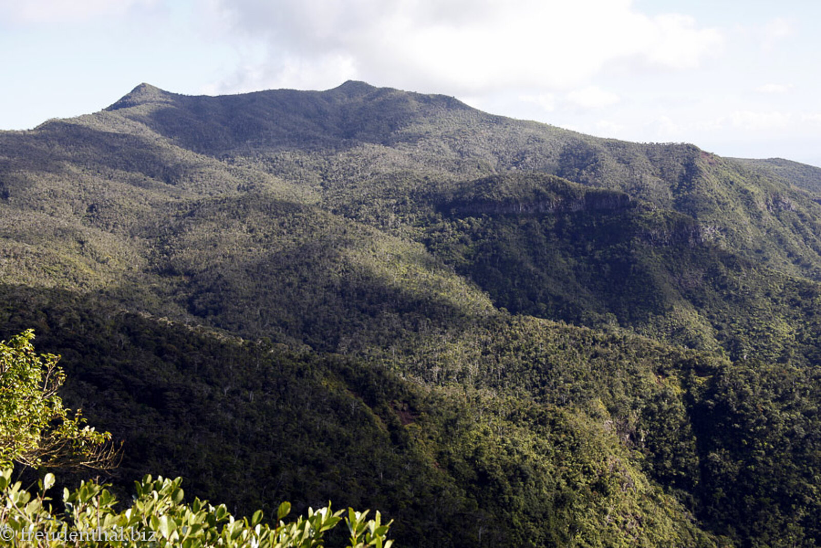 Aussicht über die dichten Wälder im Black River Gorges Nationalpark auf Mauritius