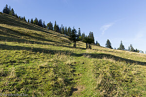 Aufstieg auf den Gschwenderberg