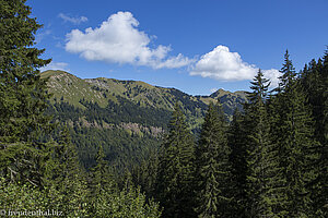 Aussicht auf die Nagelfluhkette im Allgäu