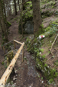 Pfad unterhalb Falkenstein