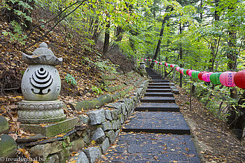 Wanderung durch den Wald des Odaesan Nationalpark