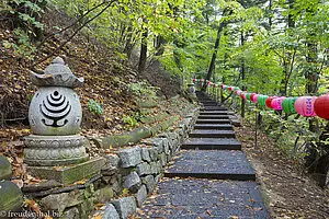 Wanderung durch den Wald des Odaesan Nationalpark