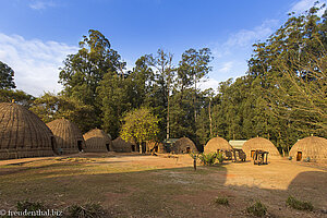 Beehives des Mlilwane Wildlife Sanctuary