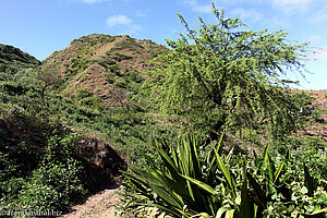 Wanderung von Assomada zur Ostküste Santiagos