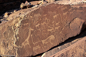 Felszeichnungen bei Twyfelfontein