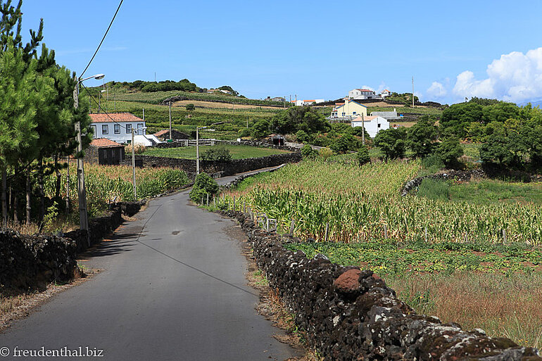 Wanderung Ponta da Ilha