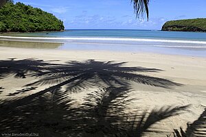 Palmschatten beim La Sagesse Beach