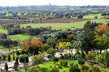 Blick über die grüne Landschaft von Akrotiri