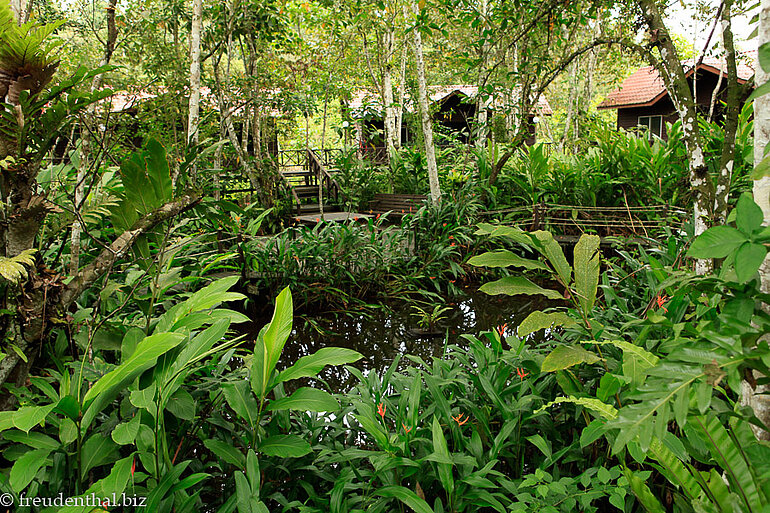 Blick von unserem Zimmer über den Froschgarten