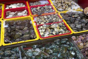 Muscheln unterschiedlichster Art auf dem Jagalchi Fischmarkt