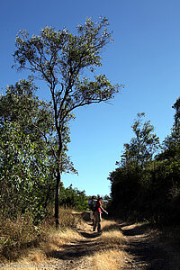 Wanderweg durch den Naturpark auf Santiago