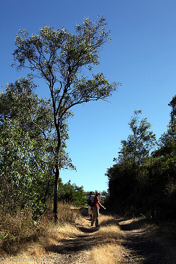 Wanderweg durch den Naturpark auf Santiago