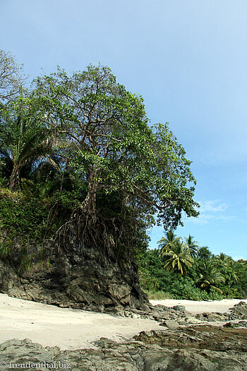 Strand im Nationalpark Manuel Antonio