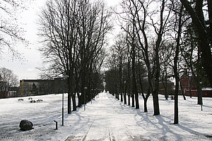 Allee zum Schloss