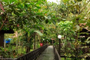 Kinabatangan Riverside Lodge - Weg vom Anleger zu den Zimmern