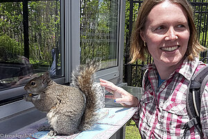 Anne und ein Grauhörnchen auf Roosevelt Island