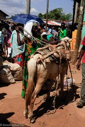 Äthiopierin mit Pferd auf dem Markt von Jinka