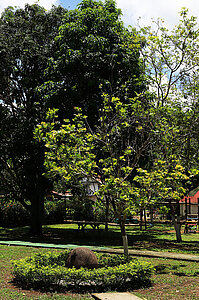 Parque de las Esferas bei Palmar Norte