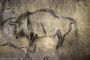 Felszeichnung Grotte de Niaux