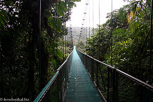 auf zur Hängebrücke Nr. 4 - Selvatura Park