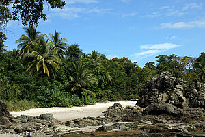 Der weiße Sandstrand der Playa Manuel Antonio