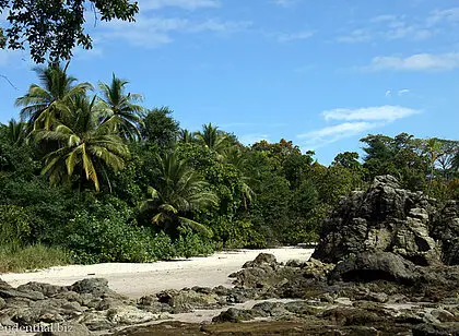 An der Playa Manuel Antonio