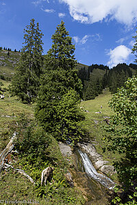 Idylle im Aubachtal bei Gunzesried