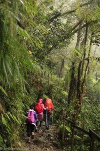Aufstieg durch den Regen auf den Kinabalu