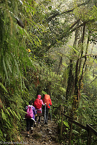 Aufstieg durch den Regen auf den Kinabalu