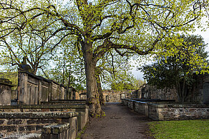 Ungewöhnlich kalt auf dem Greyfriars Kirkyard