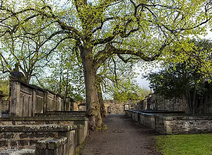 Greyfriars Kirkyard (Harry Potter)