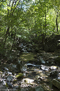 Fluss durch den Gayasan Nationalpark