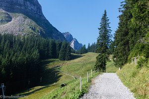 Wanderweg zur Rodelbahn und nach Oberlauelen