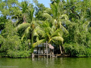 Palmen und Häuser in der Lagune des Madu Ganga
