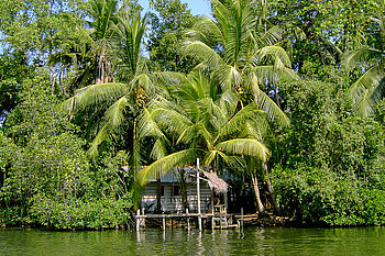 Palmen und Häuser in der Lagune des Madu Ganga